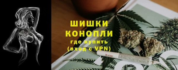 spice Аркадак