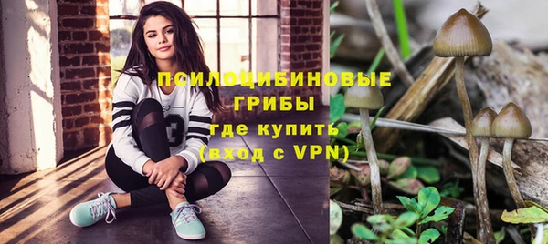 spice Аркадак