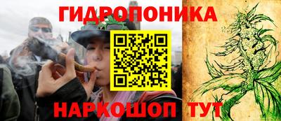 гидропоника Краснознаменск